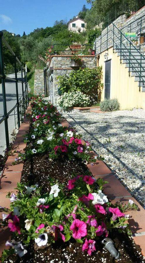 B&B Le Colline Di Bana Camogli Kültér fotó