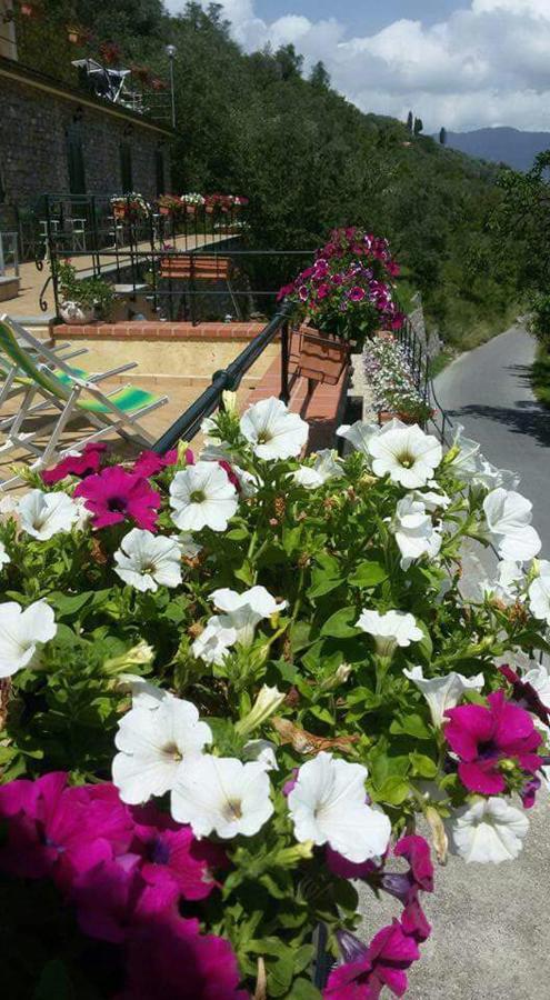 B&B Le Colline Di Bana Camogli Kültér fotó