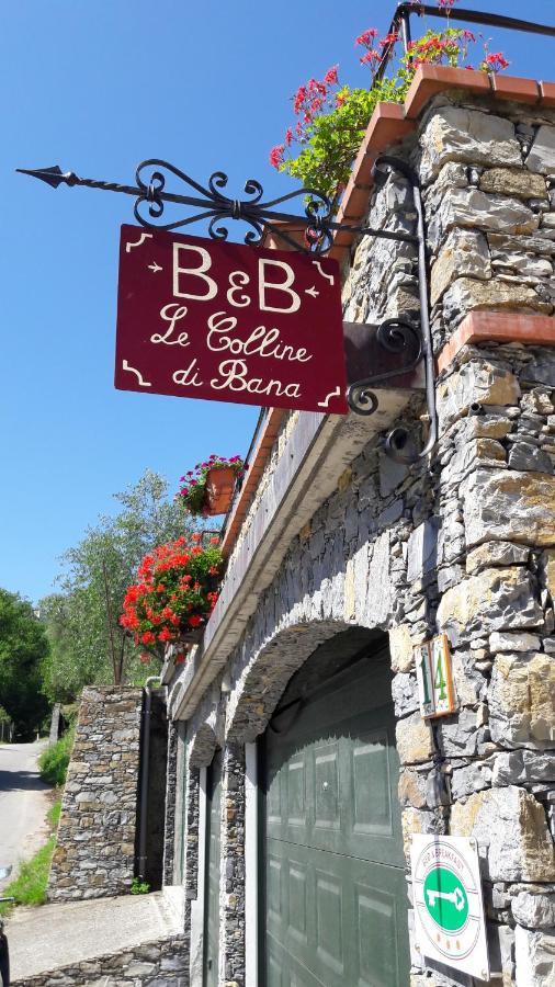 B&B Le Colline Di Bana Camogli Kültér fotó