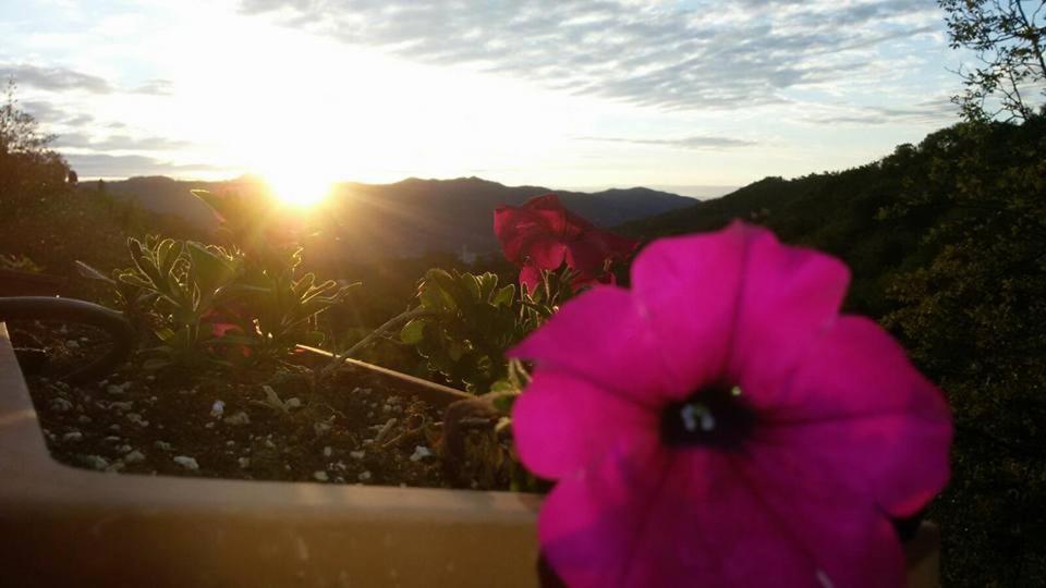 B&B Le Colline Di Bana Camogli Kültér fotó